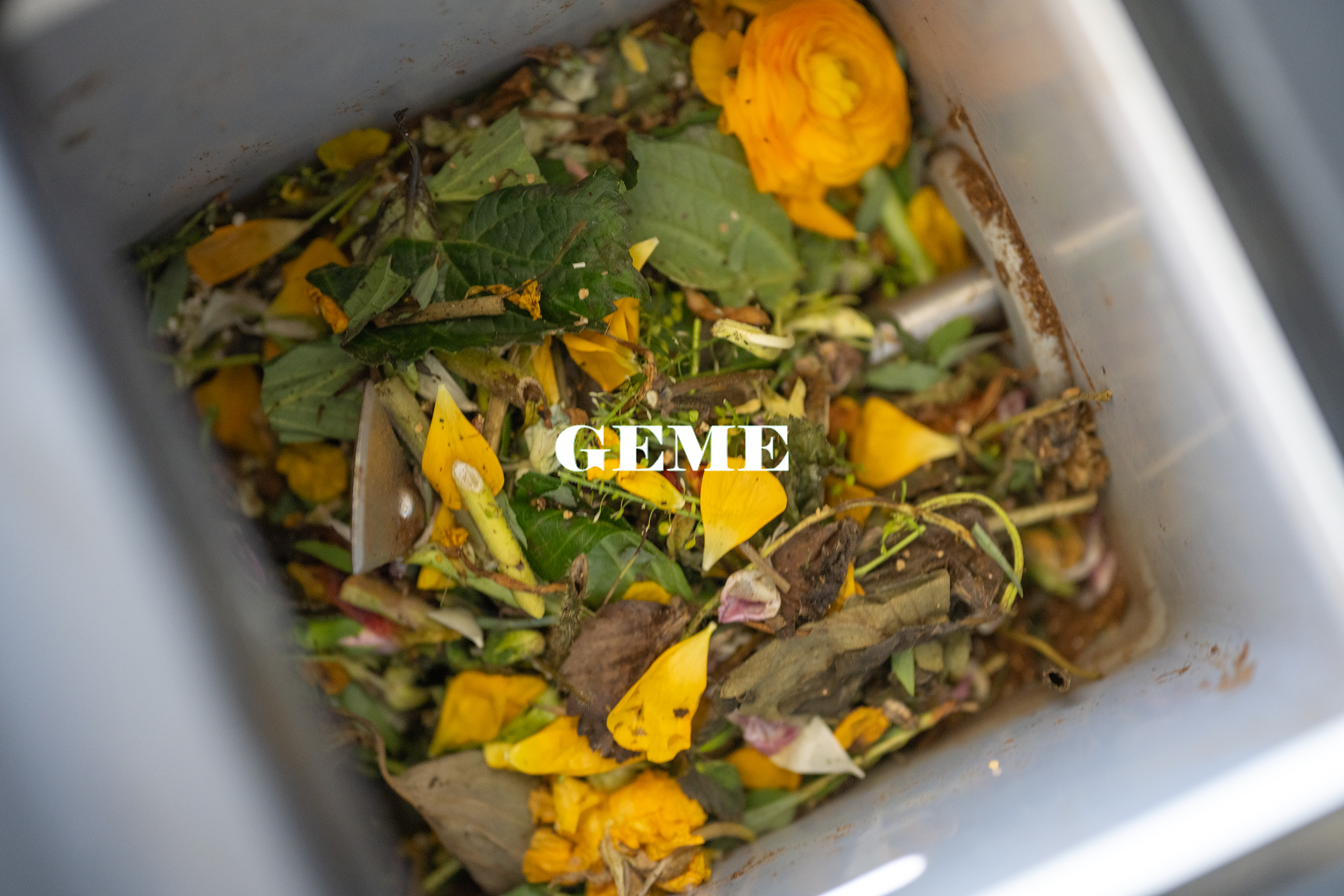 Compost Cut Flowers With GEME Terra II