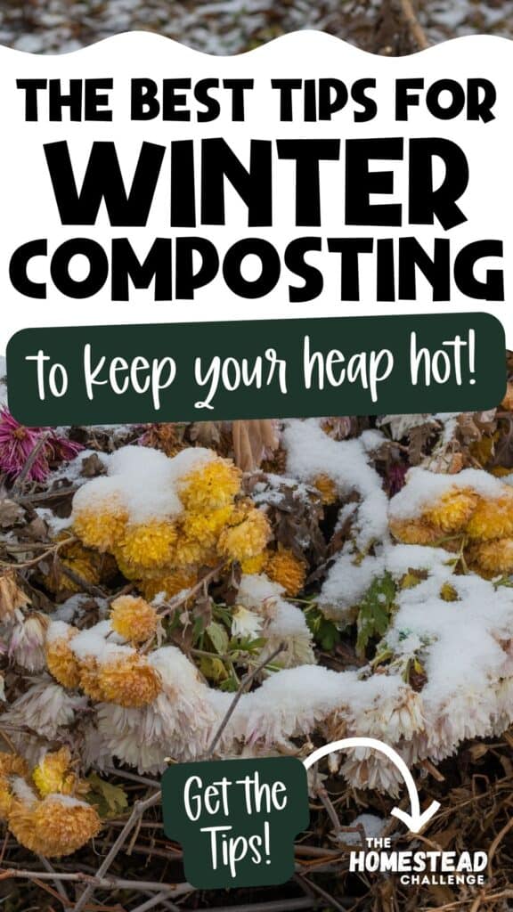 Best tips for Composting in winter