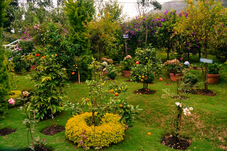Rich organic compost transforming a garden into a thriving ecosystem