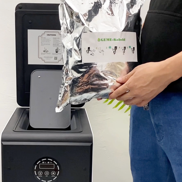 Chickens eating scraps