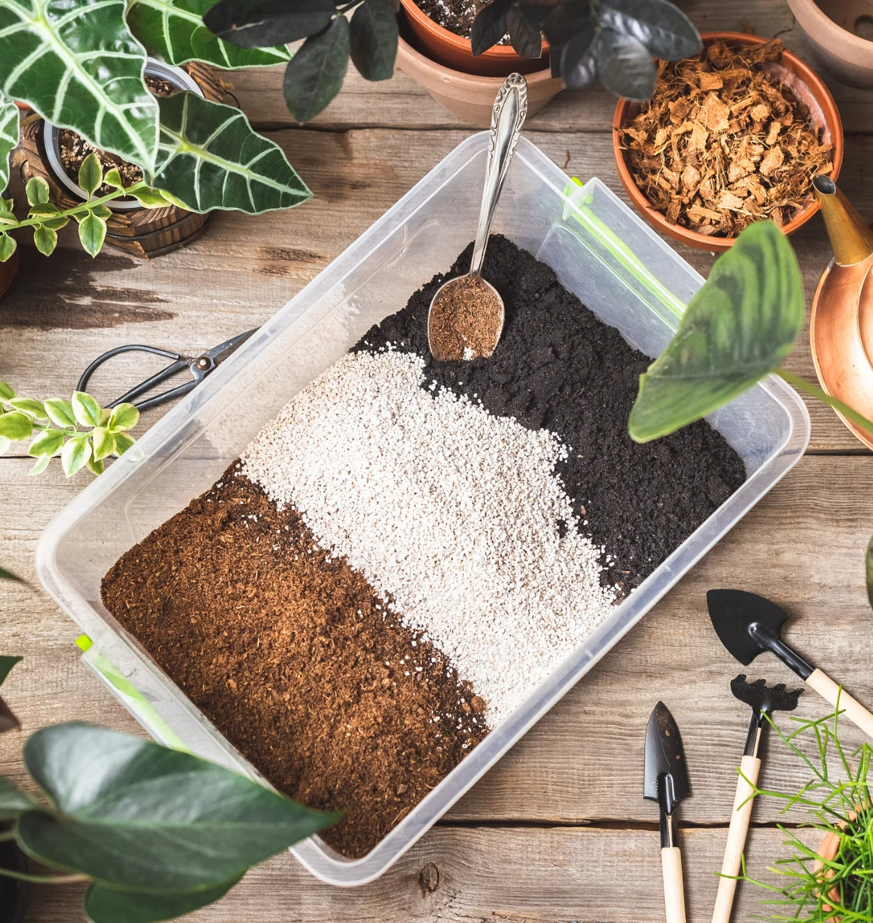 Step-by-step guide showing how to mix GEME compost with potting soil for optimal plant growth