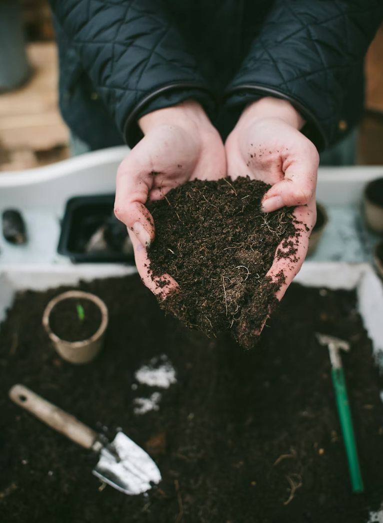 How to compost at home beginner guide