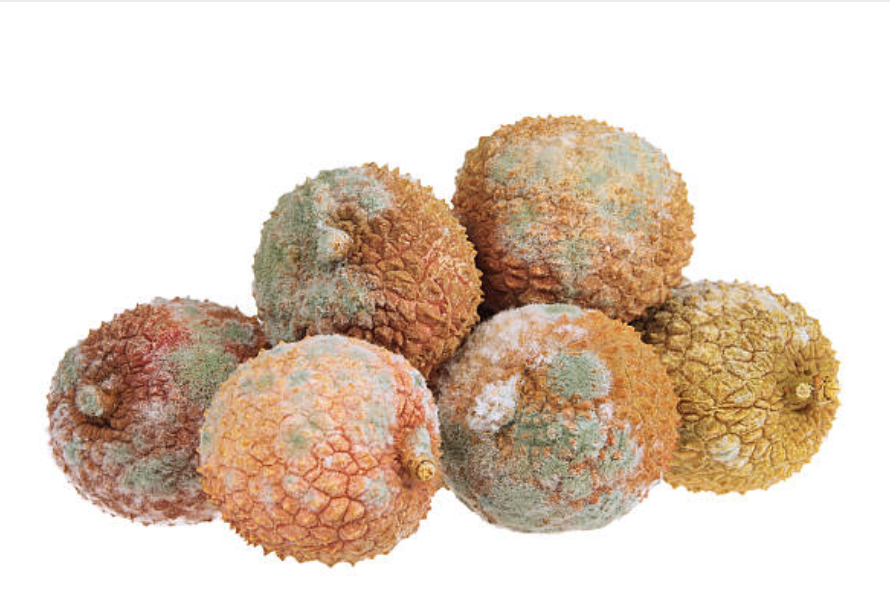 how do you know when lychee is bad